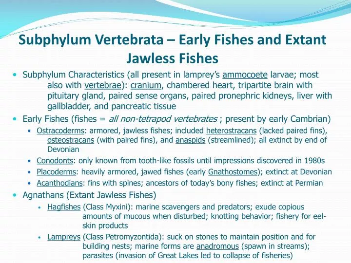 subphylum vertebrata early fishes and extant jawless fishes