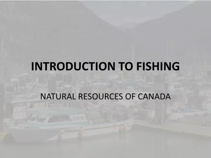 introduction to fishing