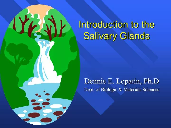 introduction to the salivary glands