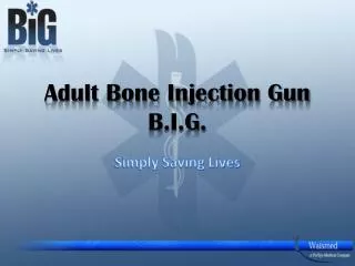 Adult Bone Injection Gun B.I.G.