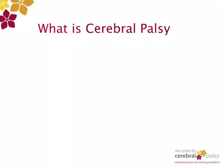 what is cerebral palsy