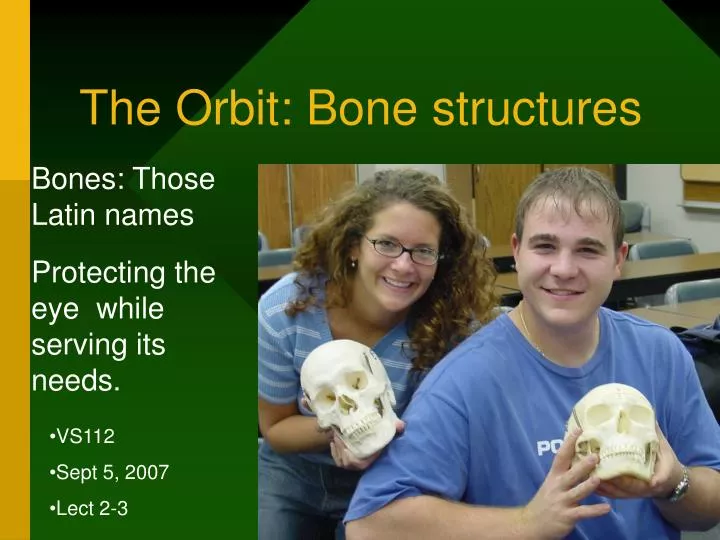 the orbit bone structures