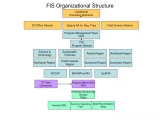 FIS Organizational Structure