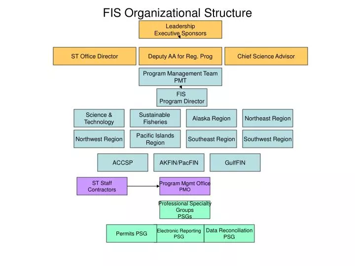 fis organizational structure