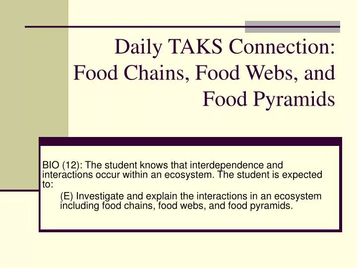 daily taks connection food chains food webs and food pyramids