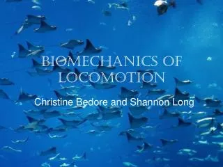 Biomechanics of Locomotion