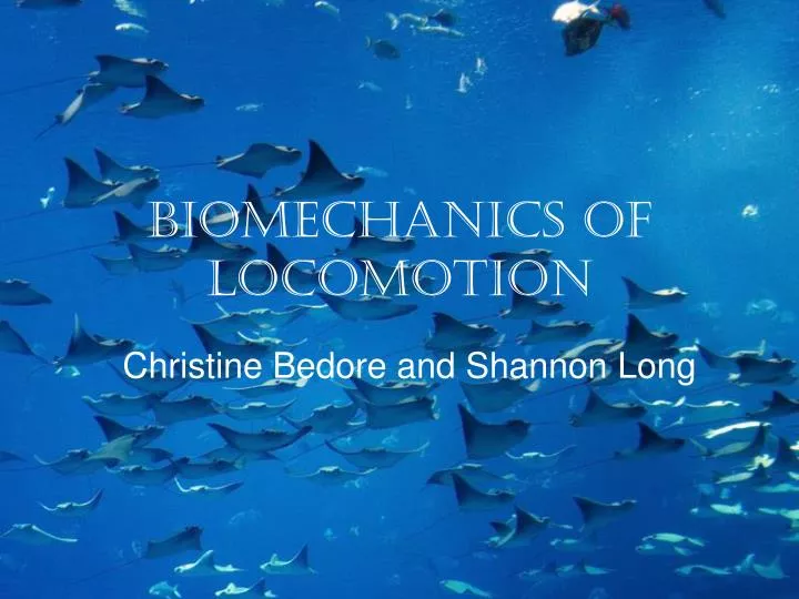 biomechanics of locomotion
