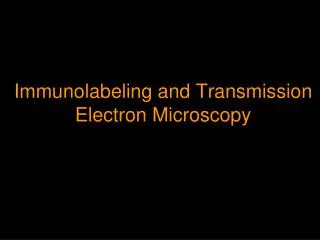 Immunolabeling and Transmission Electron Microscopy