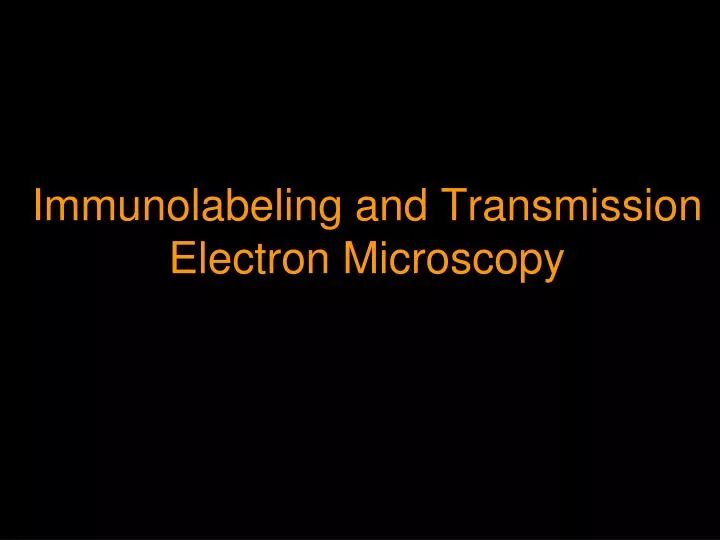 immunolabeling and transmission electron microscopy