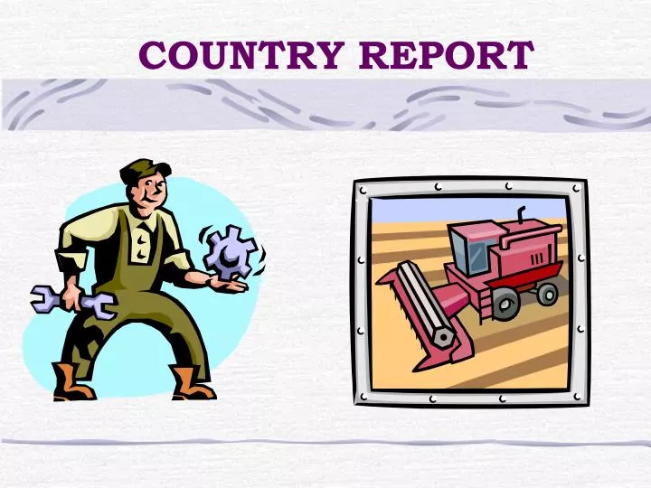 country report