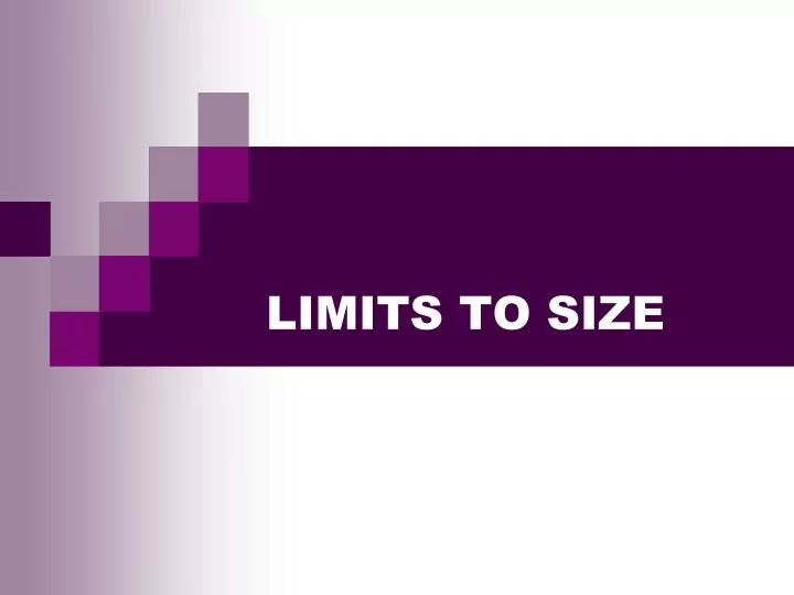 limits to size