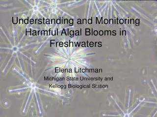 Understanding and Monitoring Harmful Algal Blooms in Freshwaters