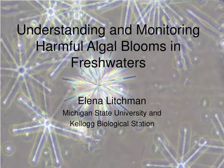 understanding and monitoring harmful algal blooms in freshwaters