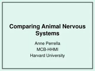 Comparing Animal Nervous Systems