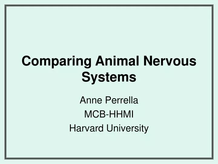 comparing animal nervous systems