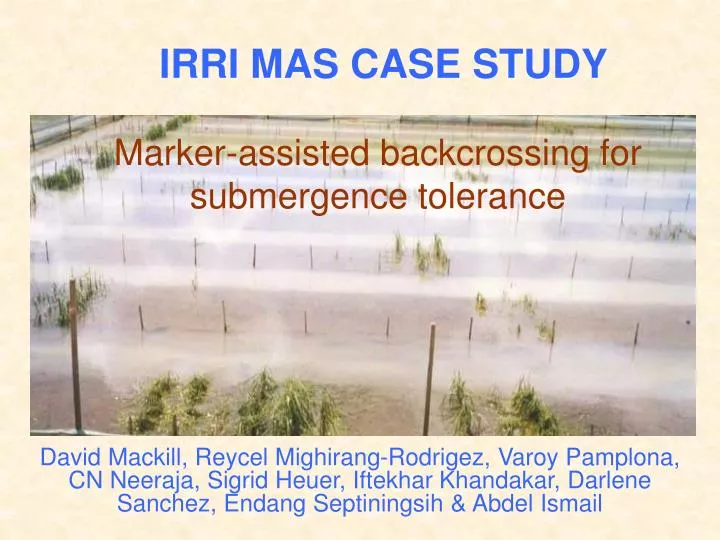 marker assisted backcrossing for submergence tolerance