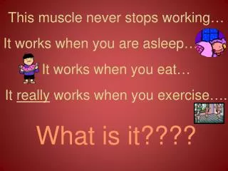 This muscle never stops working… It works when you are asleep… It works when you eat… It really works when you