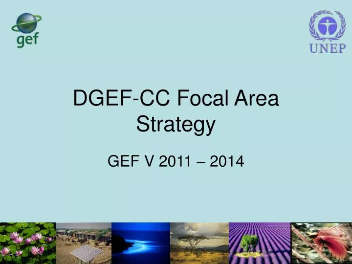 dgef cc focal area strategy