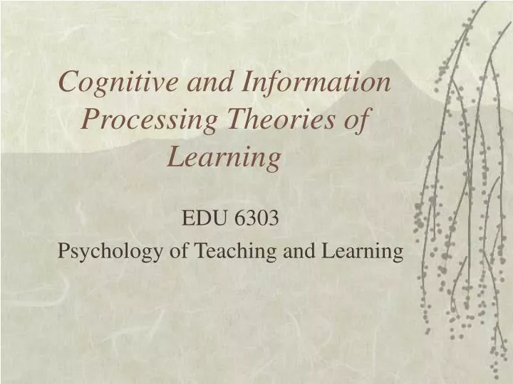 cognitive and information processing theories of learning