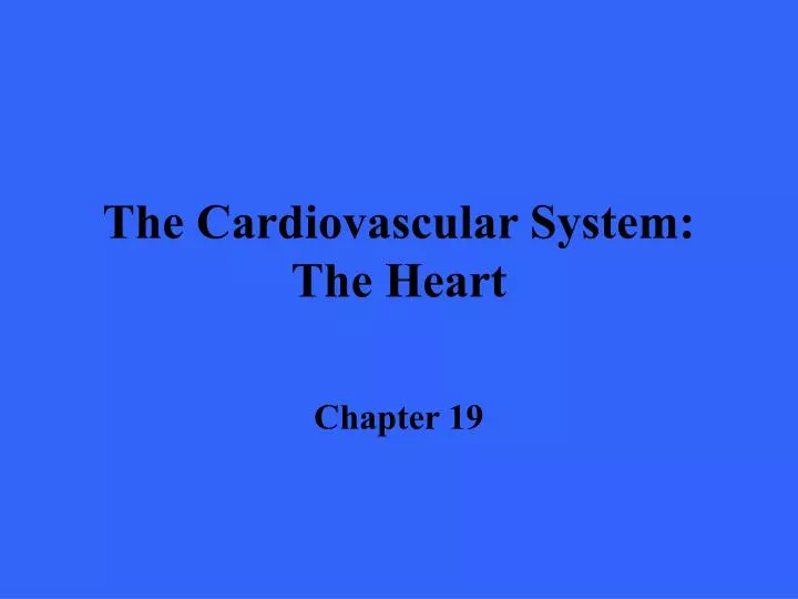 the cardiovascular system the heart