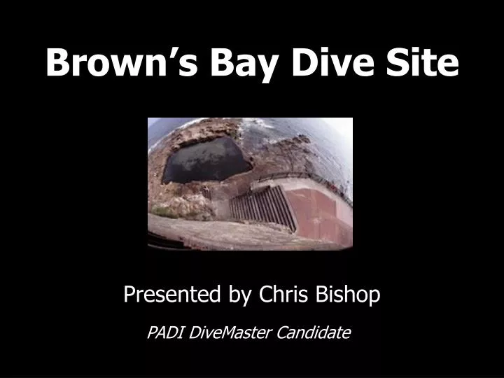 brown s bay dive site