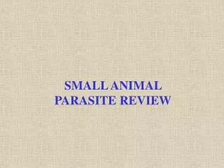 SMALL ANIMAL PARASITE REVIEW
