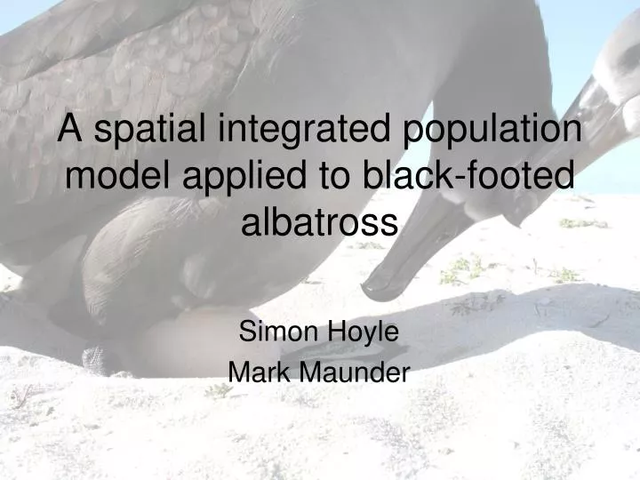 a spatial integrated population model applied to black footed albatross