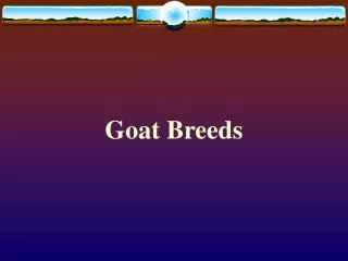 Goat Breeds