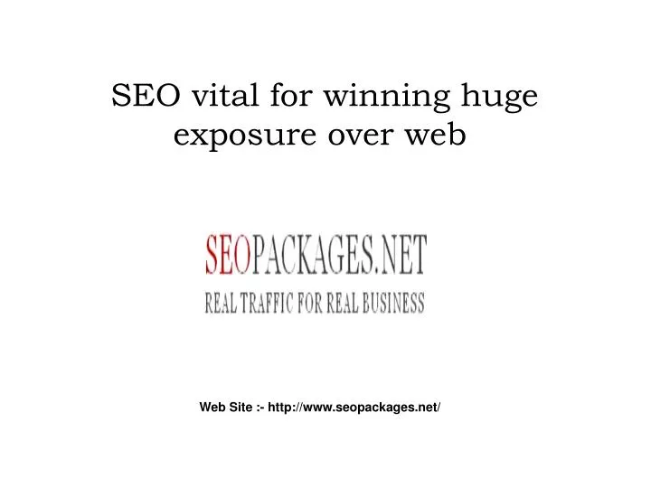seo vital for winning huge exposure over web