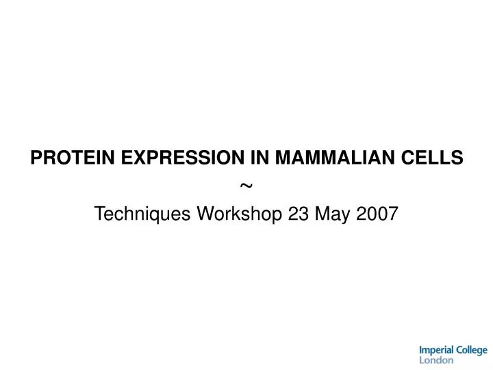 protein expression in mammalian cells techniques workshop 23 may 2007