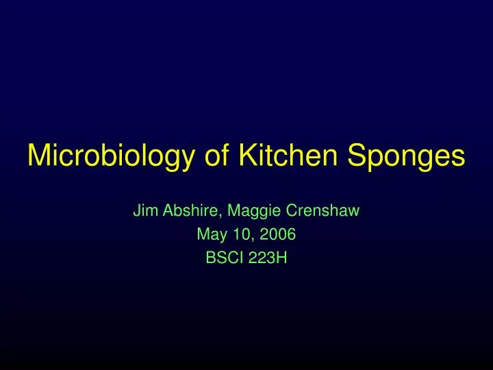microbiology of kitchen sponges