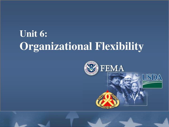 unit 6 organizational flexibility