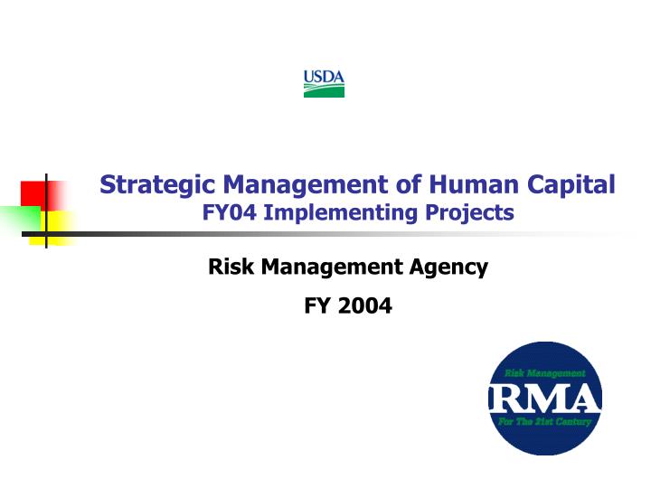 strategic management of human capital fy04 implementing projects