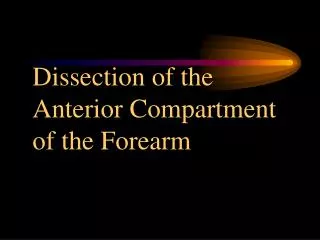 Dissection of the Anterior Compartment of the Forearm