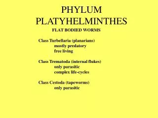 PHYLUM PLATYHELMINTHES