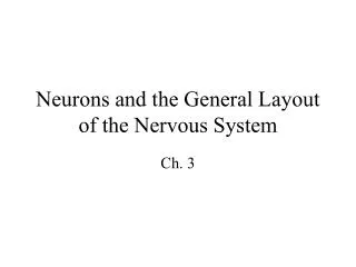Neurons and the General Layout of the Nervous System