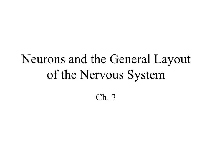 neurons and the general layout of the nervous system