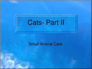 Cats- Part II