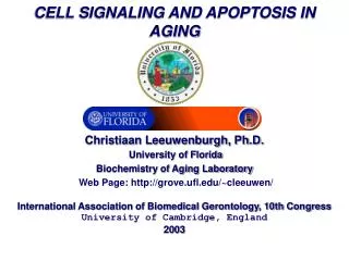 Simplified Signaling Pathways of Apoptosis