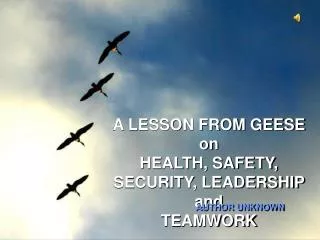 A LESSON FROM GEESE on HEALTH, SAFETY, SECURITY, LEADERSHIP and TEAMWORK