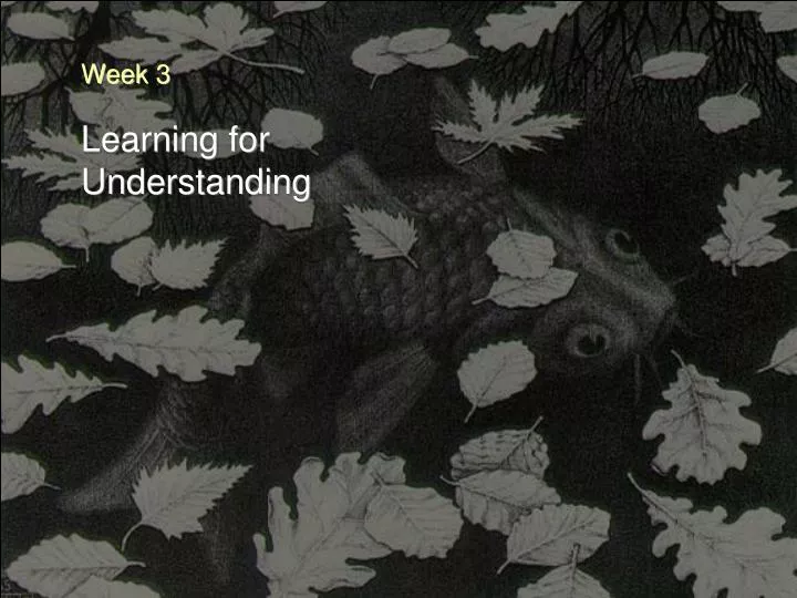 learning for understanding