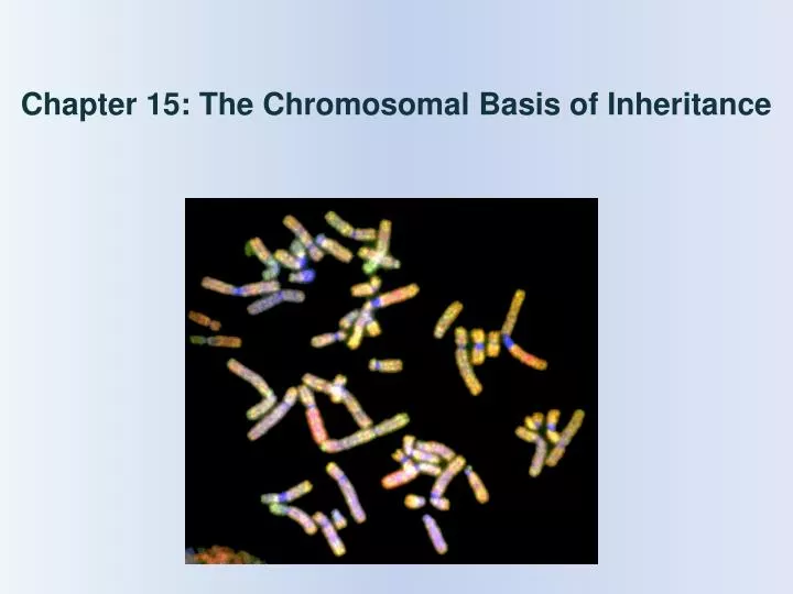 chapter 15 the chromosomal basis of inheritance