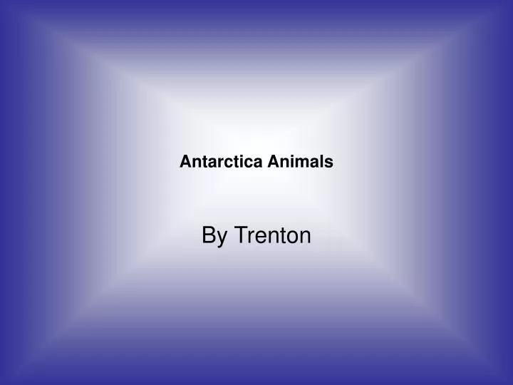 antarctica animals