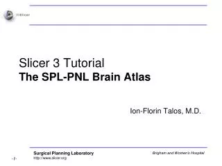 Slicer 3 Tutorial The SPL-PNL Brain Atlas