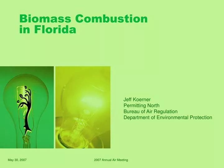 biomass combustion in florida