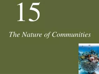 The Nature of Communities