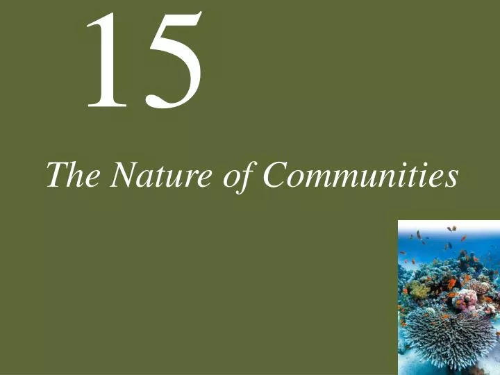 the nature of communities