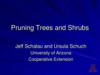 Pruning Trees and Shrubs