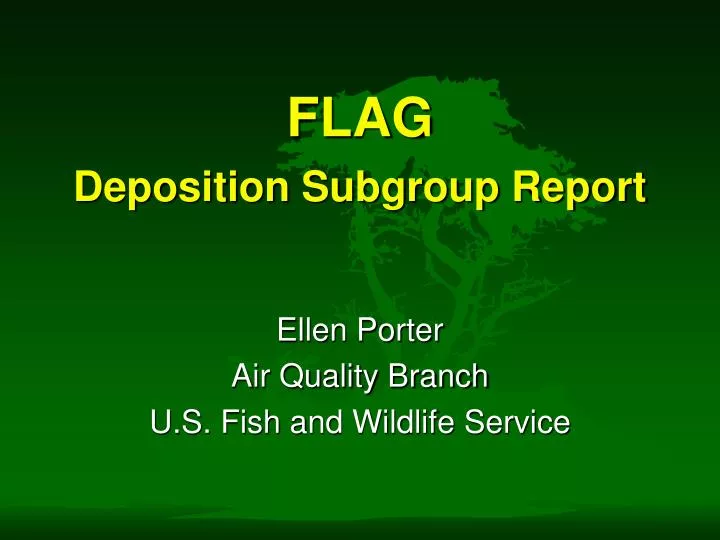 flag deposition subgroup report