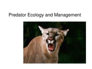 Predator Ecology and Management